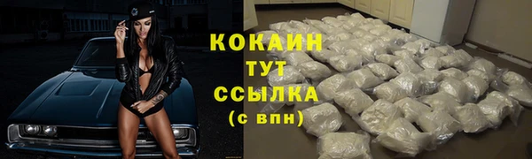 мяу мяу мука Михайловск