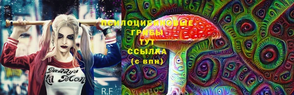 2c-b Надым