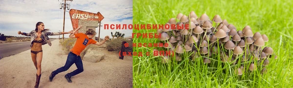стаф Михайловка