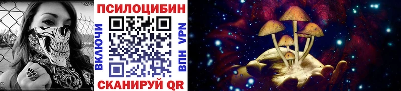 Псилоцибиновые грибы прущие грибы  нарко площадка телеграм  Сухой Лог  купить наркотики сайты  MEGA онион 