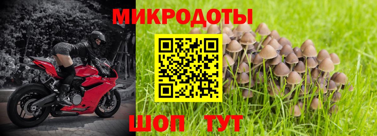 Галлюциногенные грибы GOLDEN TEACHER Сухой Лог