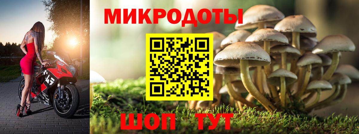 Сухой Лог  Галлюциногенные грибы Cubensis  Вход с VPN 