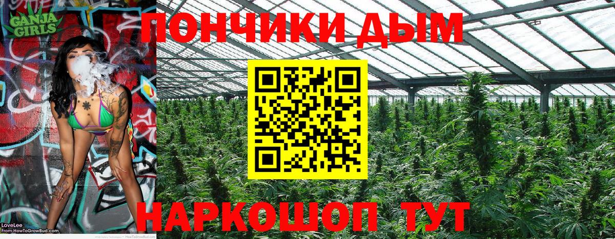 Бошки Шишки планчик  Канабис OG Kush  Шишки марихуана VHQ  Конопля THC 21%  Сухой Лог  Вход с VPN 